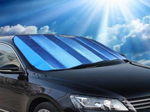 汽车阳光膜多少钱