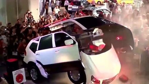 村民拥有汽车比例多少