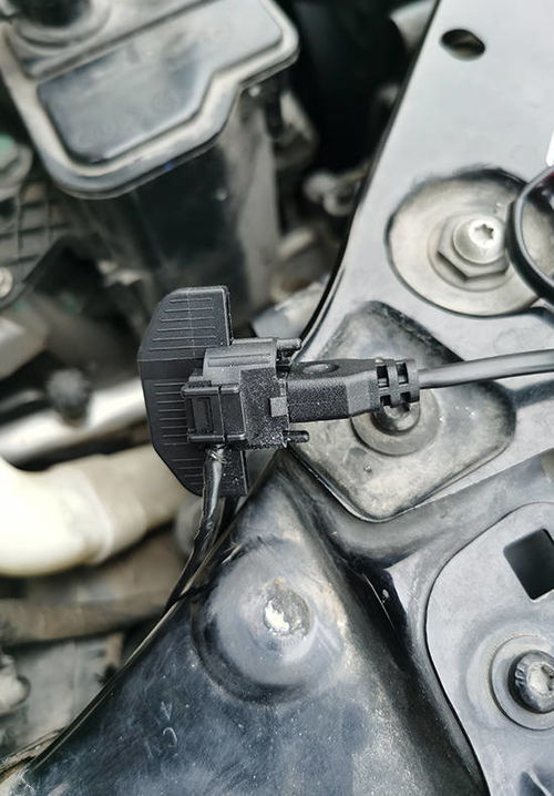 汽车近光灯更换速腾多少