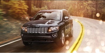 茶陵至株洲汽车多少价格