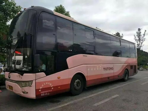 聊城到德州汽车多少钱 聊城到德州汽车多少钱