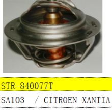 汽车的节温器多少钱