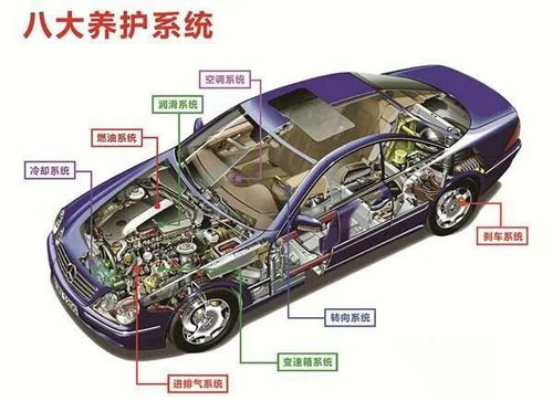 汽车双离合多少公里换