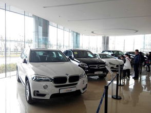 进口汽车比例是多少