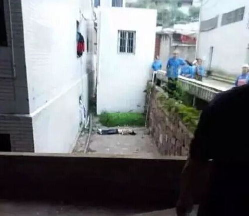 女子疑因被拔错牙坠楼身亡