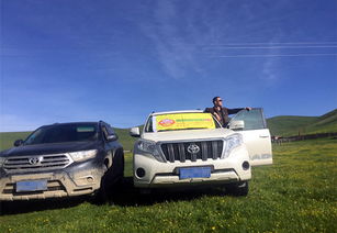 越野汽车租赁多少钱