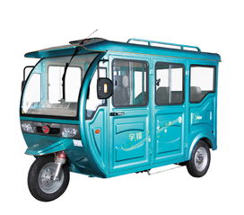 丽池电动汽车多少钱