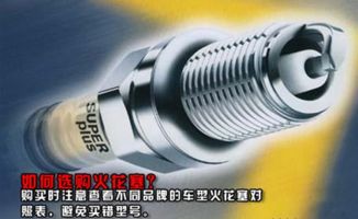 大众汽车换火花塞多少钱
