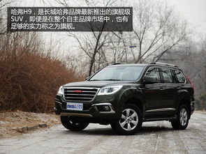 黄山哈佛汽车多少钱