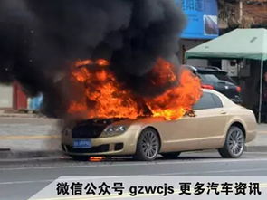 汽车自燃赔款多少