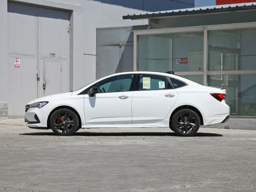 汽车加亮条多少钱