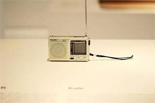 汽车门收音装置多少钱 汽车门收音装置多少钱