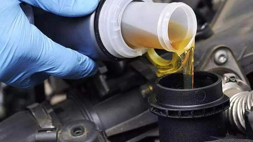 汽车保养要多少机油