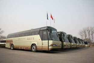 遂溪至潮州汽车多少钱 遂溪至潮州汽车多少钱