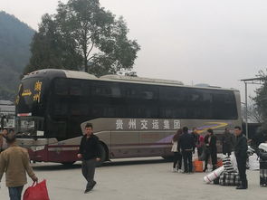 长途汽车多少公里打黄油 长途汽车多少公里打黄油