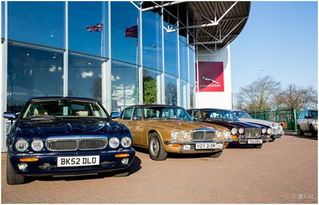 路豹汽车多少钱