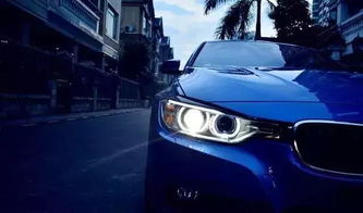 汽车面漆多少钱