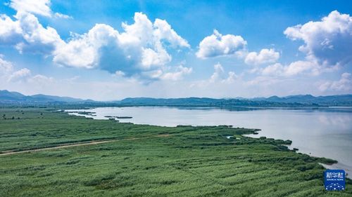 草海到毕节汽车多少钱