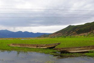 草海到毕节汽车多少钱