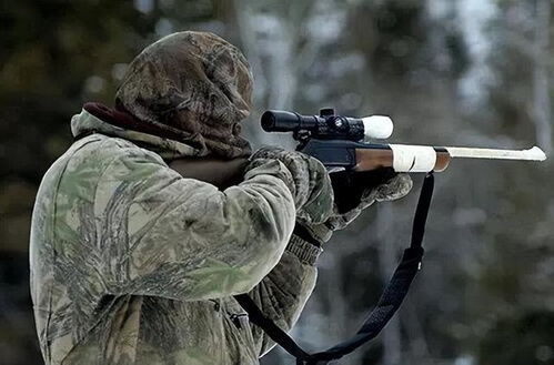 非法狩猎擦枪走火 安全警钟须长鸣