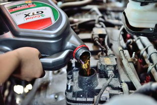 保养汽车该加多少机油