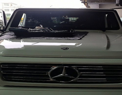 汽车恢复档案需要多少钱