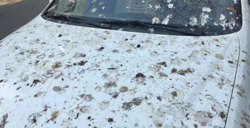 汽车一般洗多少升水