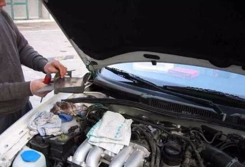 汽车加防冻液多少钱