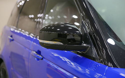 蓝色汽车贴多少钱