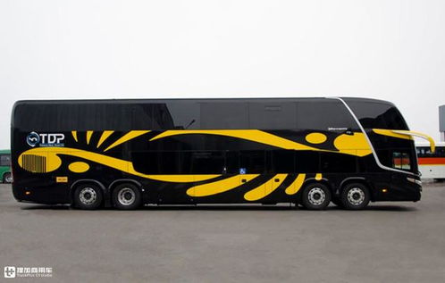 汽车定制高度是多少米