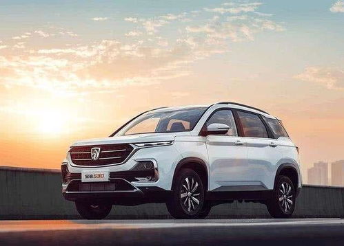 中国有汽车多少