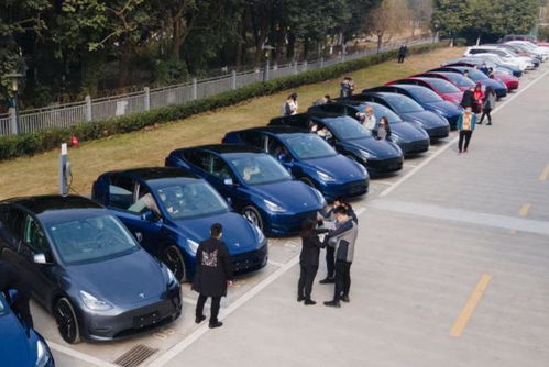 苏州汽车上牌多少钱