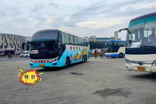 福鼎到泰顺汽车多少钱 福鼎到泰顺汽车多少钱