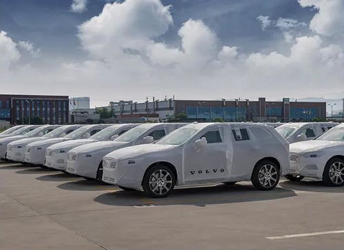 全球有多少量汽车 全球有多少量汽车