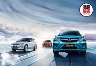 比亚迪汽车上市股价多少