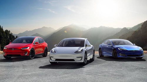 汽车强险要多少钱