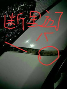 吉利汽车换保险杠多少钱