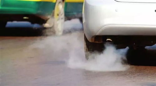 汽车在国外能带多少烟 汽车在国外能带多少烟