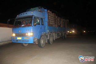 汽车在国外能带多少烟 汽车在国外能带多少烟