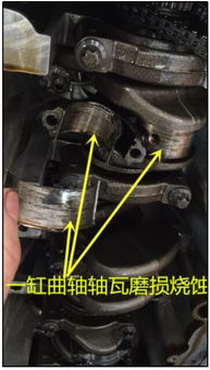 汽车机油格有多少种 汽车机油格有多少种