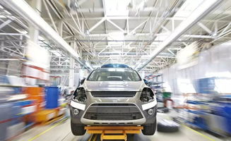 普定县汽车数量有多少