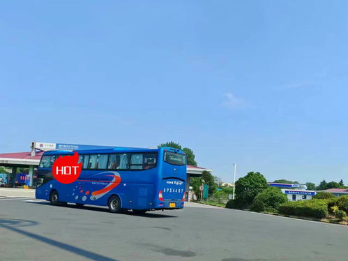 普定县汽车数量有多少