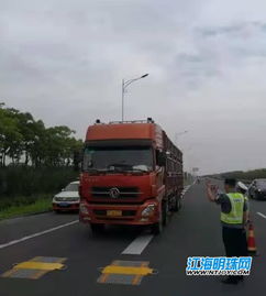 汽车运输比例是多少