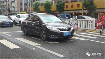 海丰大概有多少汽车