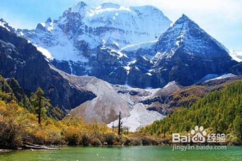 绵阳稻城汽车票价多少