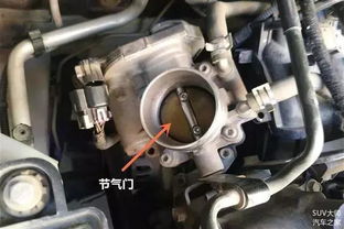 汽车油门大小是多少 汽车油门大小是多少