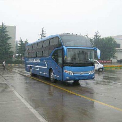 大悟汽车到武汉多少钱