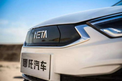 能在汽车里存活多少年