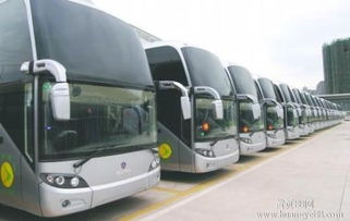 汽车站的汽车多少钱