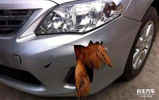 白色汽车加装红杠多少钱